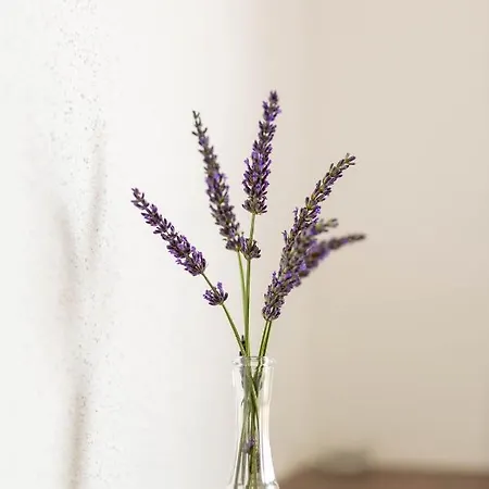 Apartamento Mia Prozor